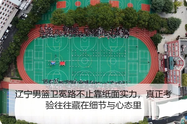 liao-ning-nan-lan-wei-mian-lu-bu-zhi-kao-zhi-mian-shi-li-zhen-zheng-kao-yan-wang-wang-cang-zai-xi-jie-yu-xin-tai-li-2-208.jpg